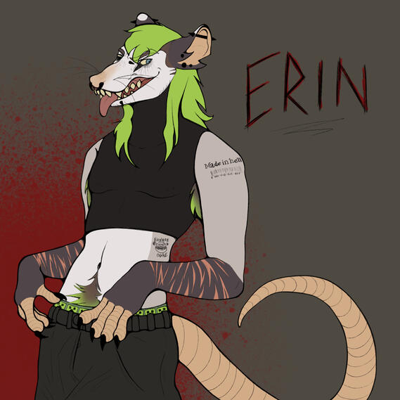 Flat Colored Full Body — $40 USD